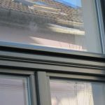 Berliner Kämpferprofil